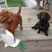 Hope Kern - Facebook