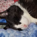 Hope Kirkpatrick - @oreo.k7 - Instagram
