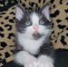 Hope Kirkpatrick - Facebook
