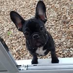 Hope Kitchen - @the_high_maintanance_hope - Instagram