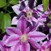 Hope Knowles Jones - Facebook