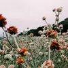 Deetra Knutson - @hopeknutson - TikTok