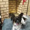 Надежда Кочурова740 - @hopekochurov1 - TikTok