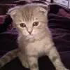 Надежда Кочеткова - @hopekochetkova - TikTok