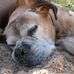 Hope Kuhn - Facebook