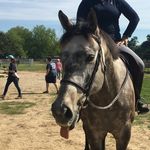 Hope Landry Carling - @hope_carling_ - Instagram