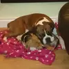 Hope Larkin - @hope.larkin59 - TikTok