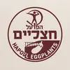 הפועל חצילים 🍆 - @hopeleggplants - TikTok