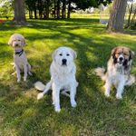 Hope Levin - @doodlesandpyrs - Instagram