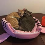 Hope Liu - Facebook
