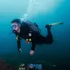 HopeLiu0104 - @hopeliu0104 - TikTok