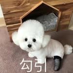 peter - @hopeliu - Instagram