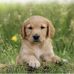 Hope Lyons-Barney - Facebook