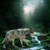 Hope Mabry - Facebook