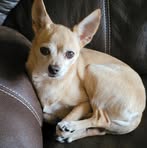 Mary Hope Manning - Facebook