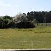 Hope Matthews - @hope.matthews0 - TikTok