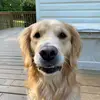 hope - @hope.messer - TikTok