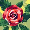 hopemeyer497 - @hope.meyer7 - TikTok