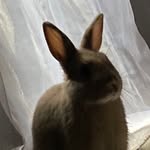 ʜᴏᴘᴇ ᴍɪʀᴀɴᴅᴀ ᴅᴀʟᴄᴏᴍᴜɴɪ - @hopedalcomuni - Instagram