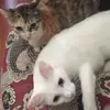hopemiranda435 - @hopemiranda435 - TikTok