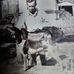 Hoppy Mobley - Facebook