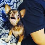 Hopeee - @hope.morin_l - Instagram