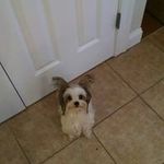 Jennifer Hope Morin - @jhm1070 - Instagram