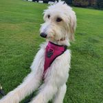 niamh hope morley - @niamhhopemorley - Instagram