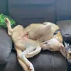 Hope Orr - @hope.orr0 - TikTok