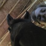 Hope Osborn - @hope_barrelracer - Instagram