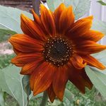 Hope Osborn - @hopeosborn727 - Instagram