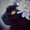 Hope! - @hope_parker_ - TikTok