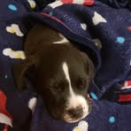 Hope Park - Facebook