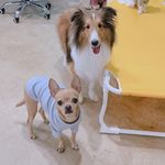 Hope, Park & Bokhee - @hopeandpark - Instagram