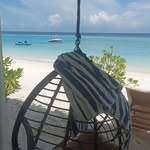 Hope Pendleton - @auknerpippia - Instagram