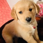 Hope - @hope_pennington_o108 - Instagram