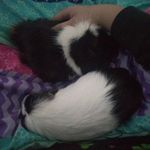 Hope & Piper - @hope_piper_showe - Instagram