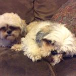 Hope Pittman - @hope_loves_candy - Instagram