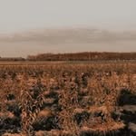 Hope - @hopepoesie - Instagram