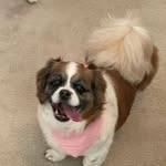 Hope Polk - @critterhouse13 - Instagram