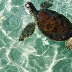 𓇼🧉❀🌊🪼🫧🌿 𝕃𝕚𝕫𝕫𝕚𝕖🌊🪼🫧🌿🐚𓆉︎ ࿔*:･ - @prescotthope346 - Instagram