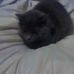 Hope Raines - Facebook