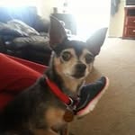 Hope Chester Ramey - @chesterramey - Instagram