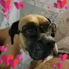Hope Chester Ramey - @hopechesterramey - TikTok