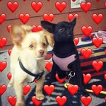 Hope & Ray Fan♡ - @ropes_biggest_fan - Instagram