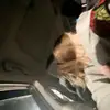 hope reimer - @hope.reimer - TikTok