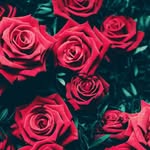 Hope Roberson - @roberson6730 - Instagram