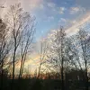 Hoperoberson_15 - @hoperoberson_15 - TikTok