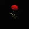 _hope.rose - @_hope.rose - TikTok