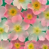 Hope Rosenzweig - @hope.rosenzweig - TikTok